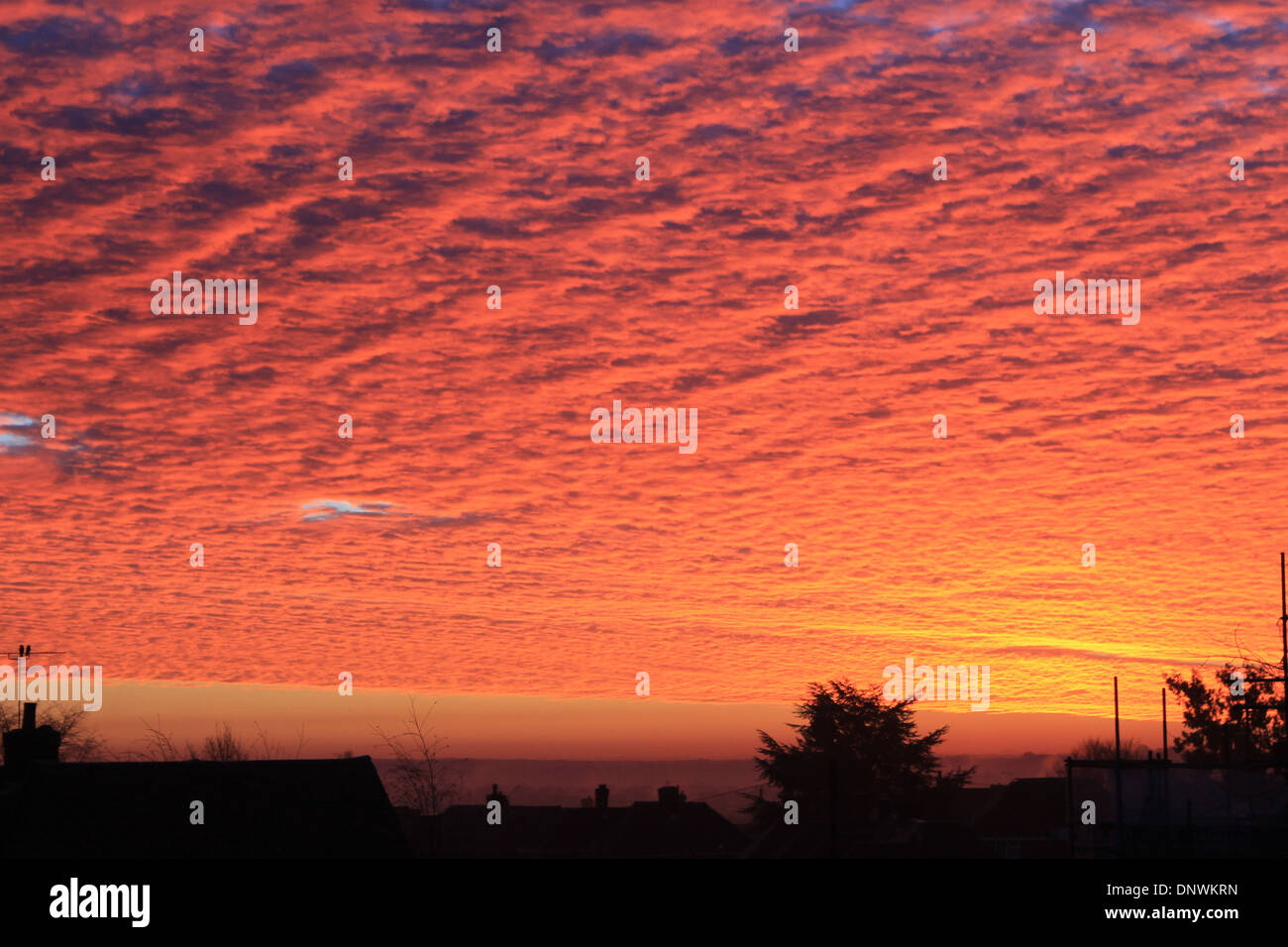 An stunningly beautiful blanket of red cloud at sun rise on a winter's morning over Eastleigh, Hampshire, UK Stock Photo