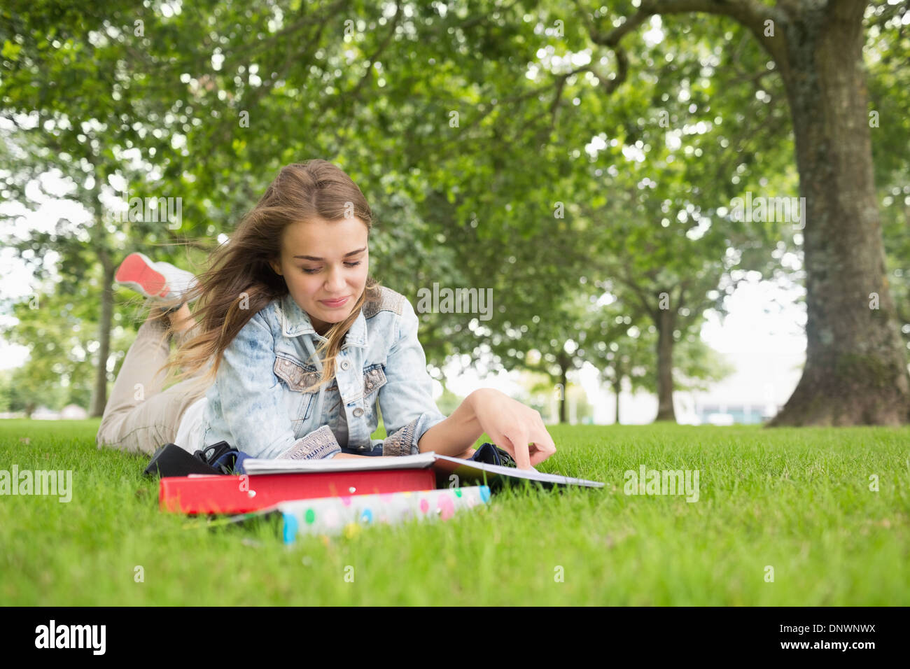 Happy student lying on the grass studying Stock Photo