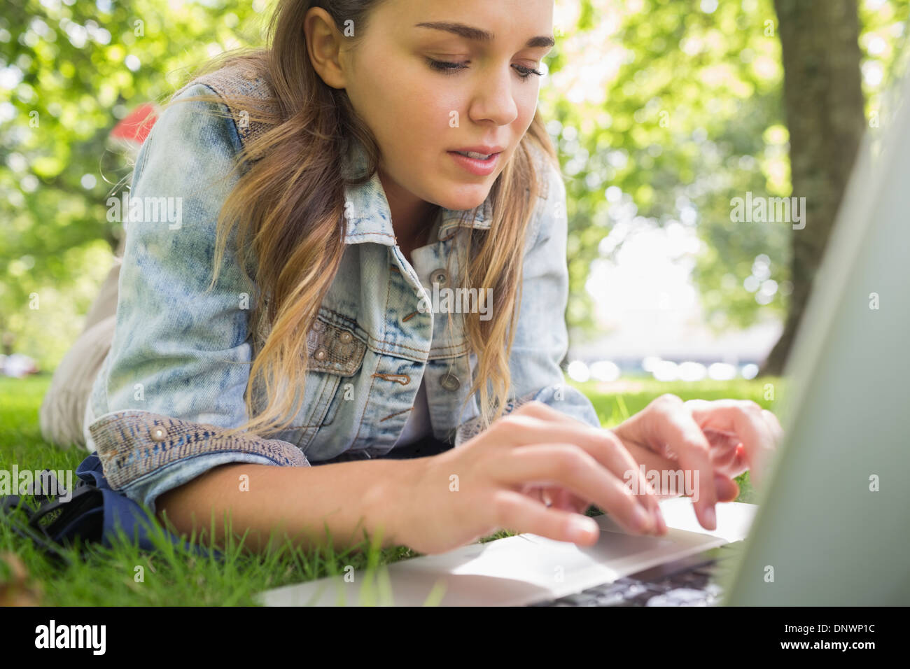 Young focused student lying on the grass using her laptop Stock Photo
