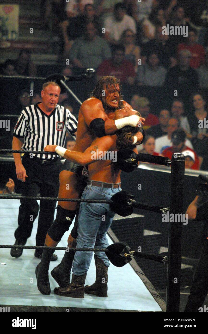 Triple H Vs Shawn Michaels Summerslam 2002