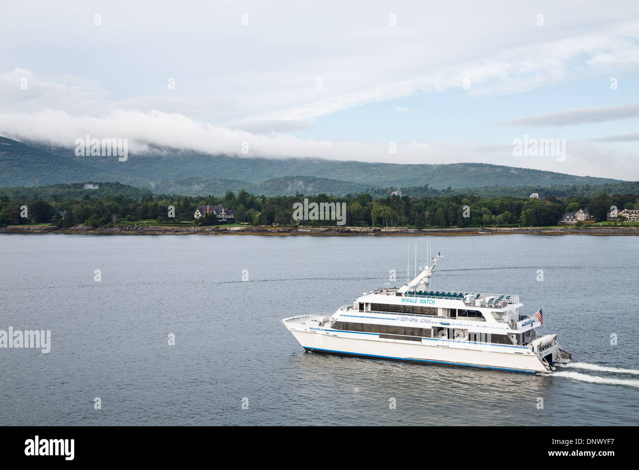 A large whale watching boat cruising across a bay near Bar Harbor