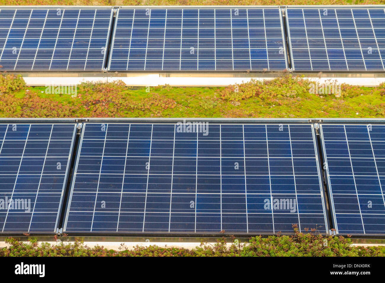 Green roof garden hi-res stock photography and images - Alamy
