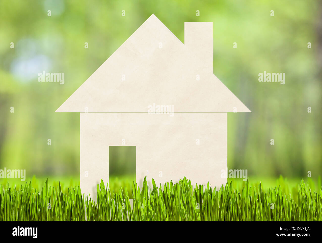 Paper house on green grass concept Stock Photo