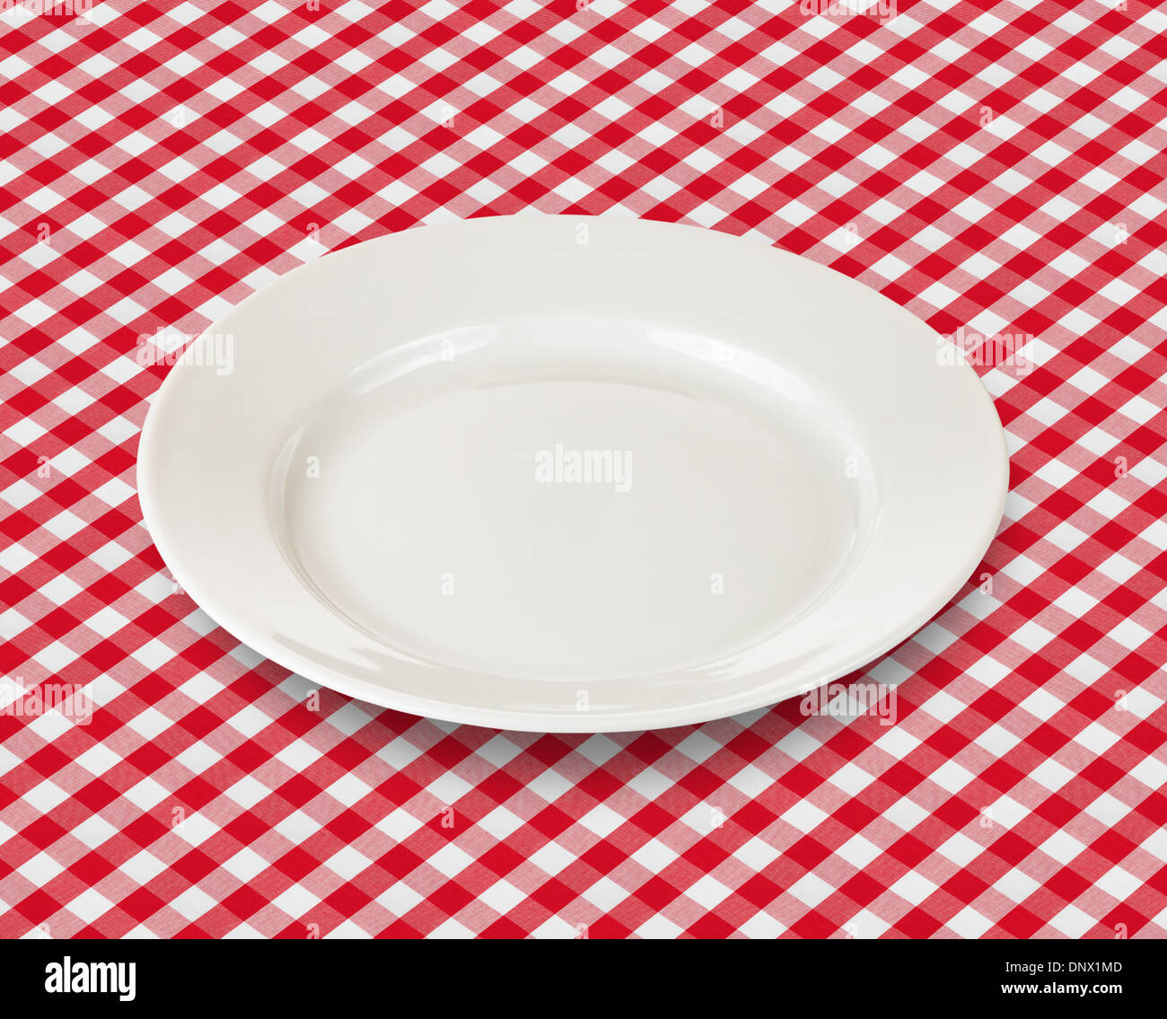 white plate over red checked picnic tablecloth Stock Photo
