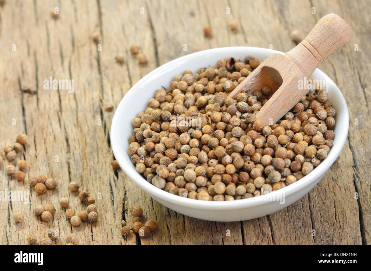 details of dried coriander seeds Stock Photo Alamy