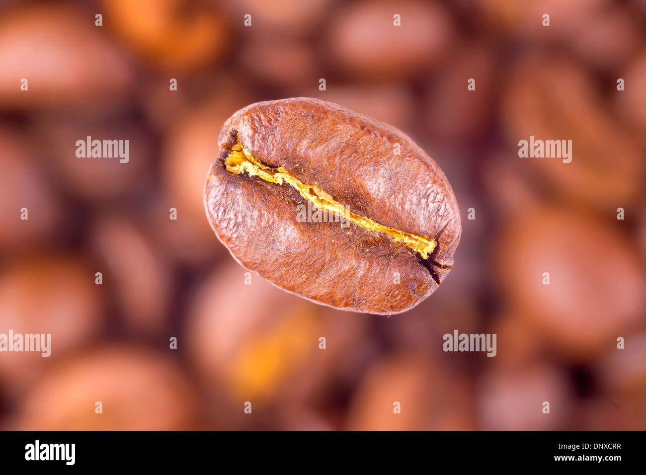 Macro shot of a coffee bean on blurred beans background Stock Photo