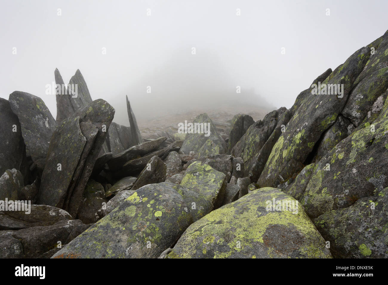 Shattered rocks on Glyder Fach with Castell y Gwynt just visible through the fog in the distance. Snowdonia National Park. Stock Photo