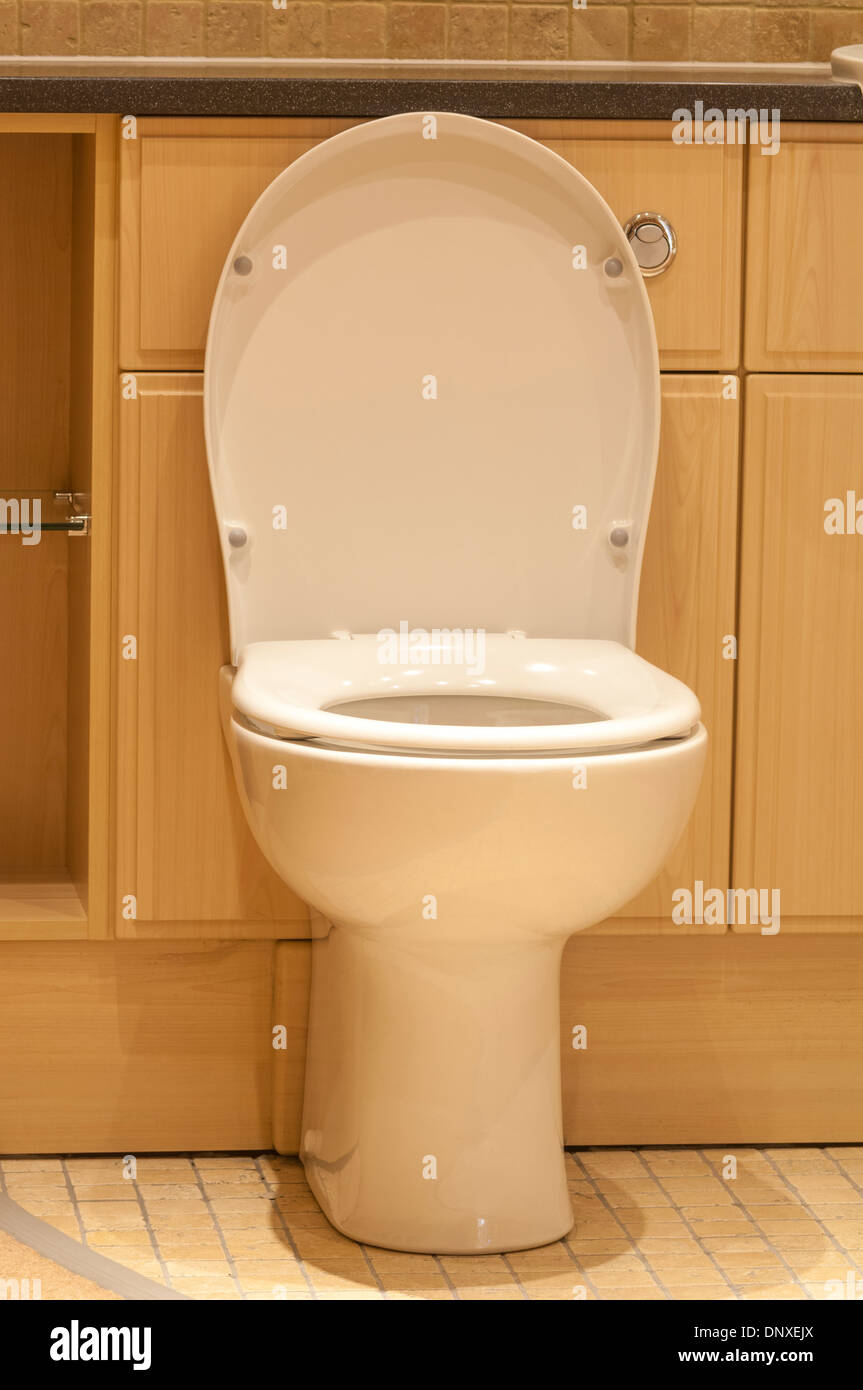 Learn about 185+ imagen toilet seat up or down In.thptnganamst.edu.vn