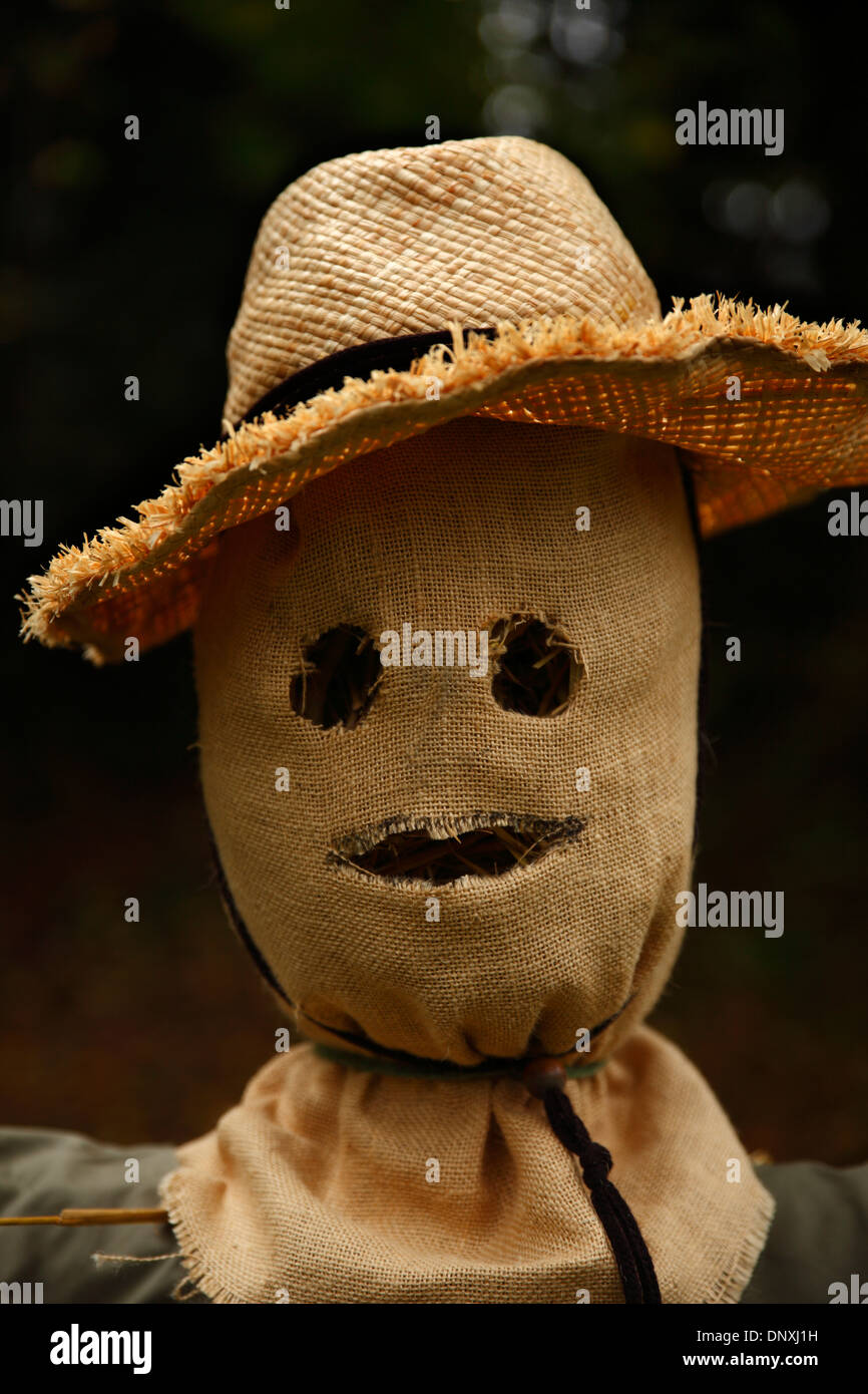 Scarecrow. Stock Photo