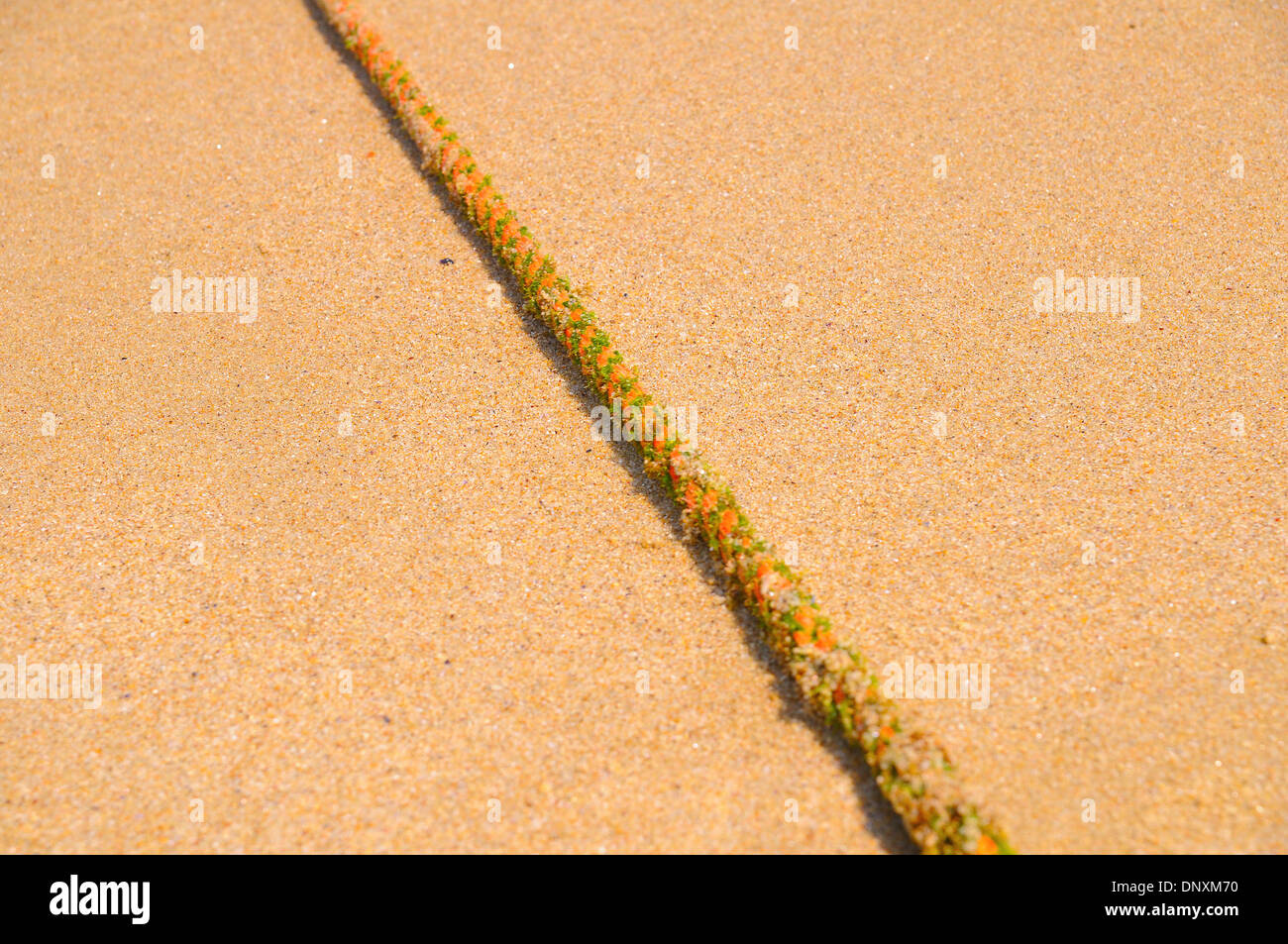 Rope on the sand. Stock Photo