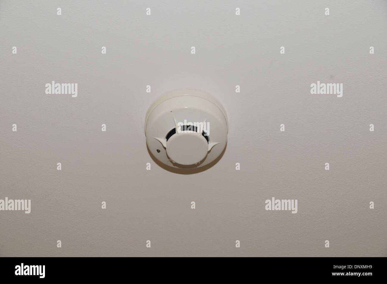 Smoke detector on the ceiling. Stock Photo