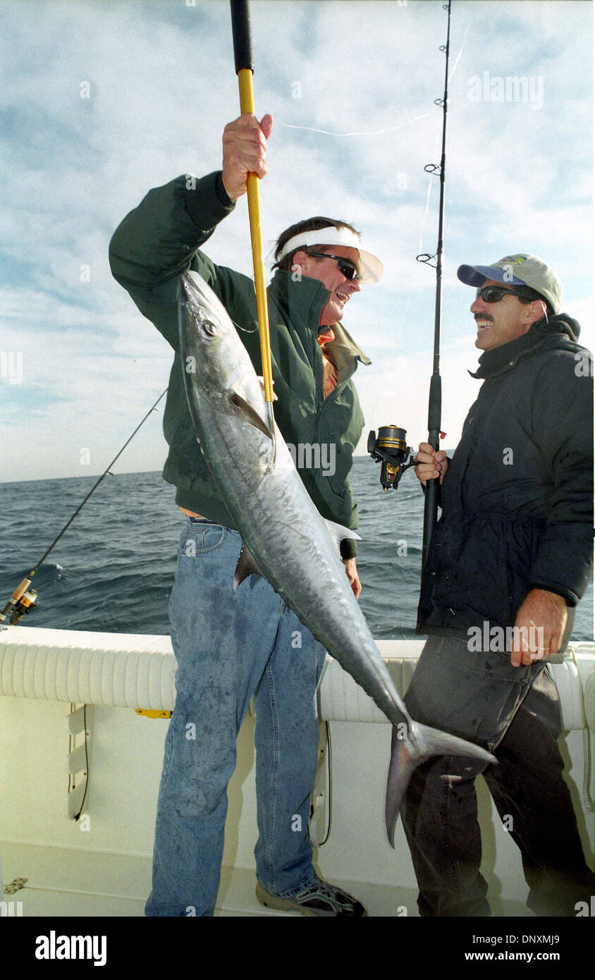 Pound kingfish hi-res stock photography and images - Alamy