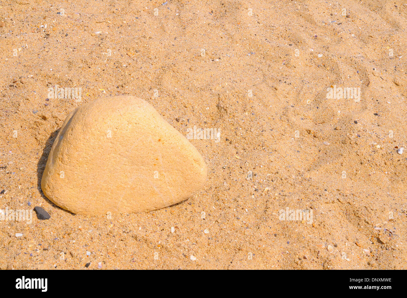 Stone on the beach. Stock Photo