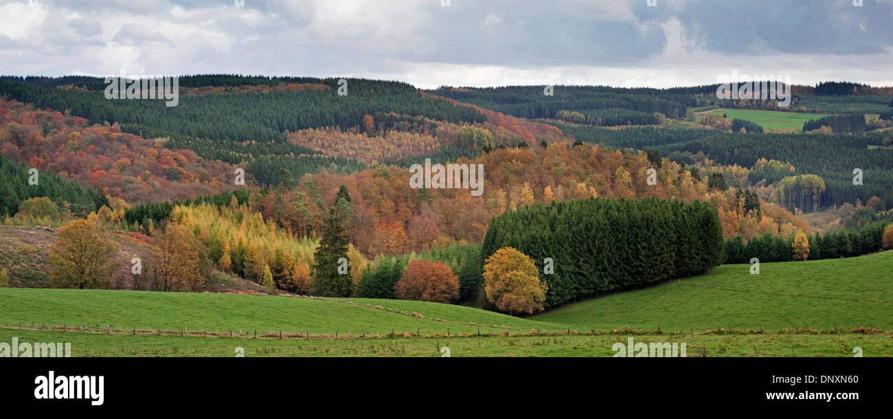 Panorama showing farmland and mixed forests in autumn colours in the Belgian Ardennes, Belgium Stock Photo