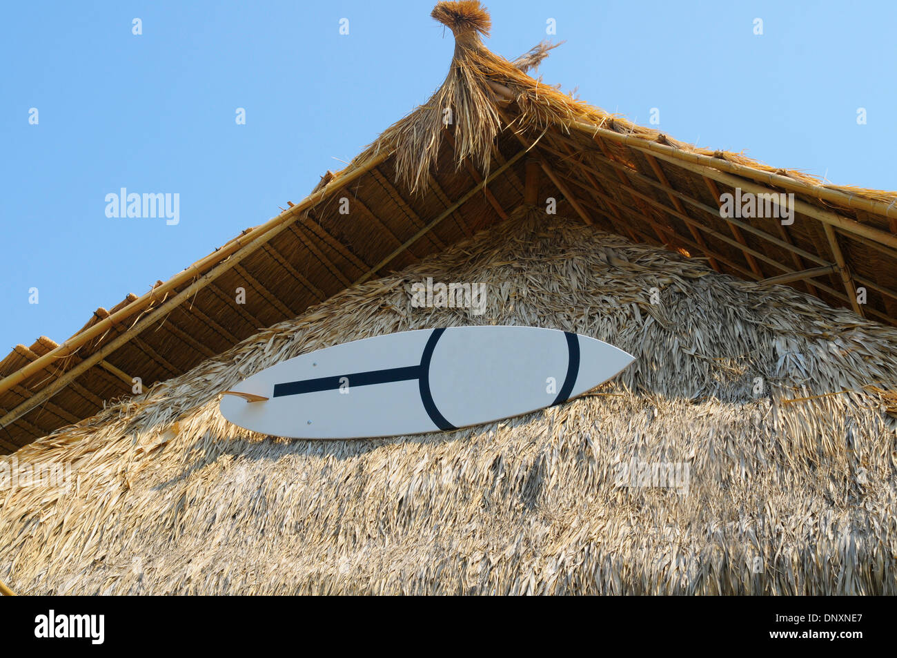 Surfboard on the roof. Stock Photo
