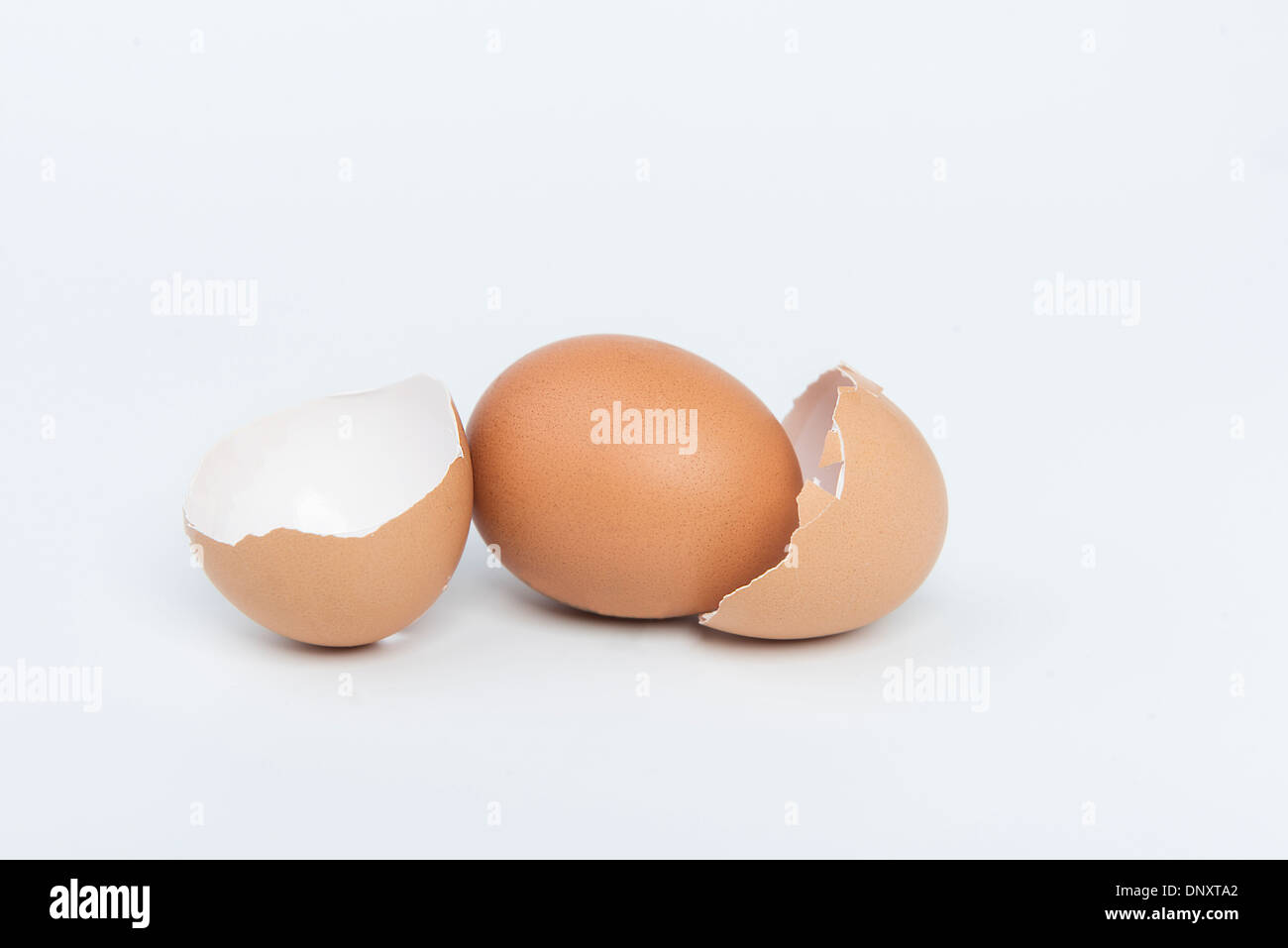 egg with double shell Stock Photo