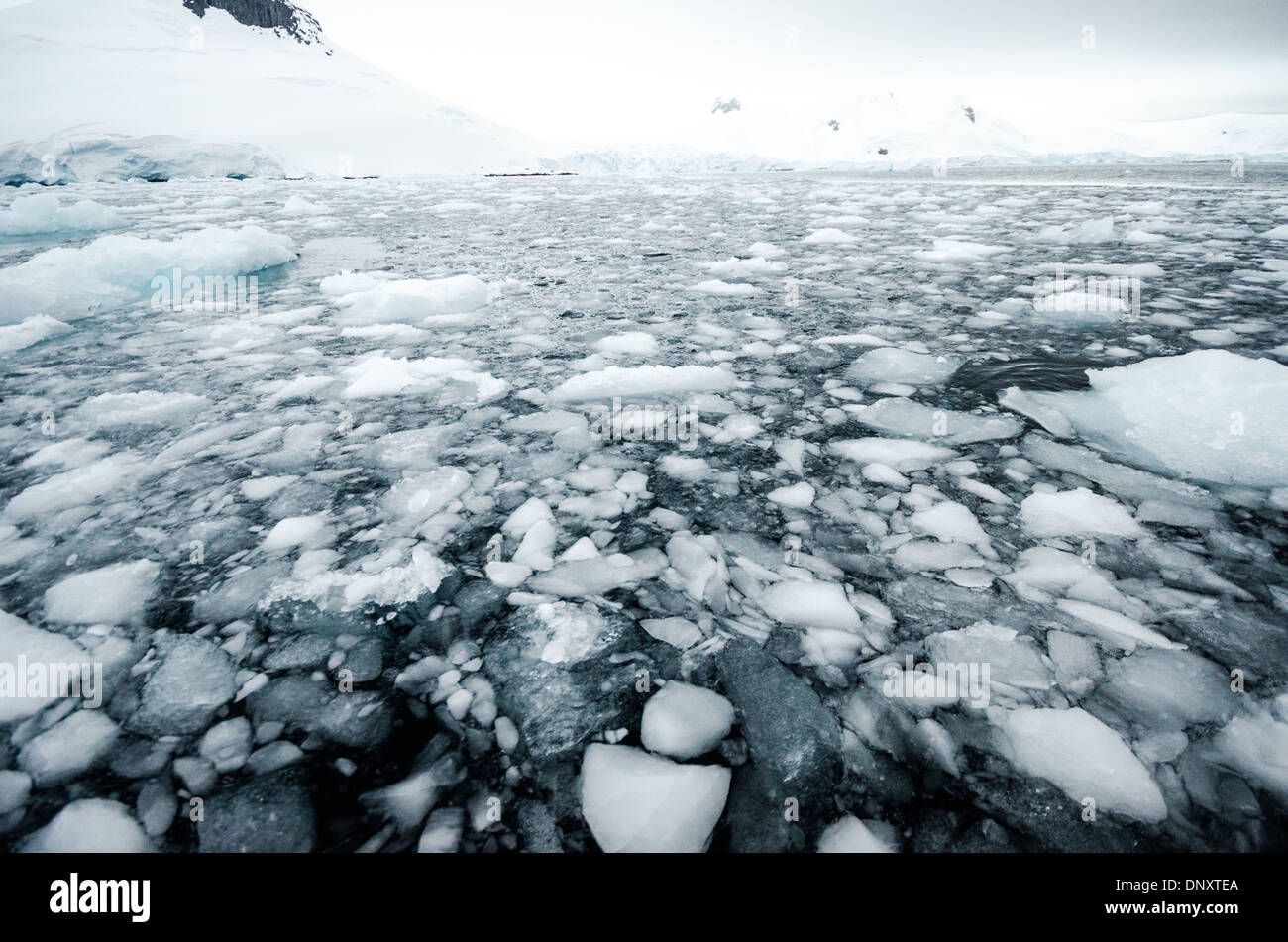 ANTARCTICA Small pieces of ice and brash ice float on the water of