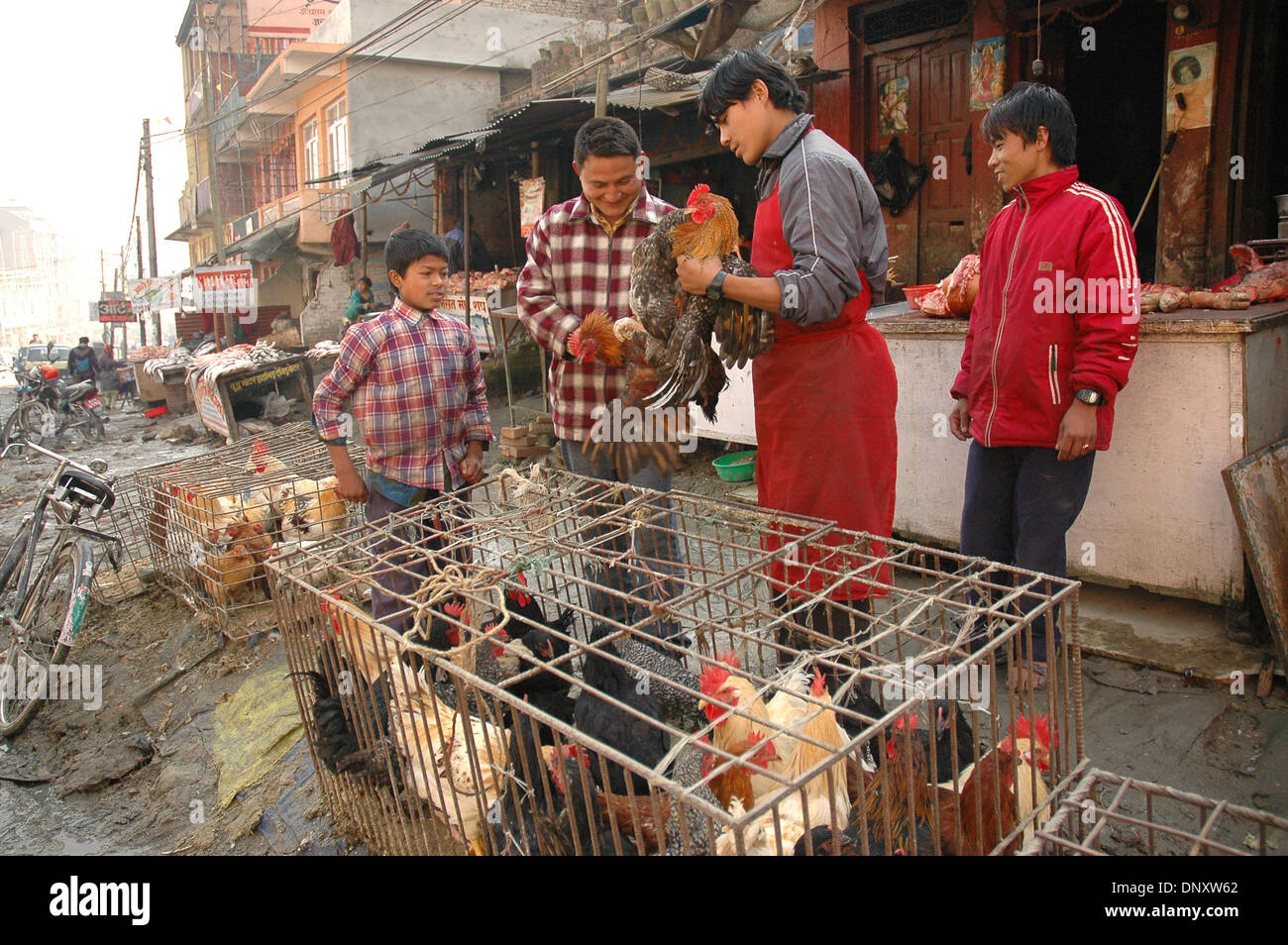 Meat market kathmandu hires stock photography and images Alamy