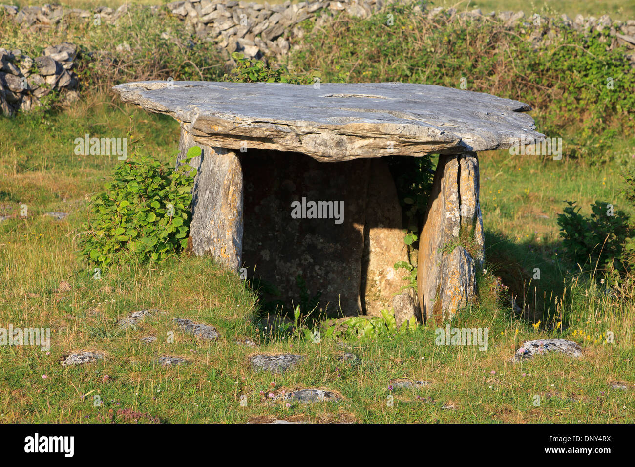 Glenisheen Wedge Tomb in County Clare, Ireland Stock Photo Alamy
