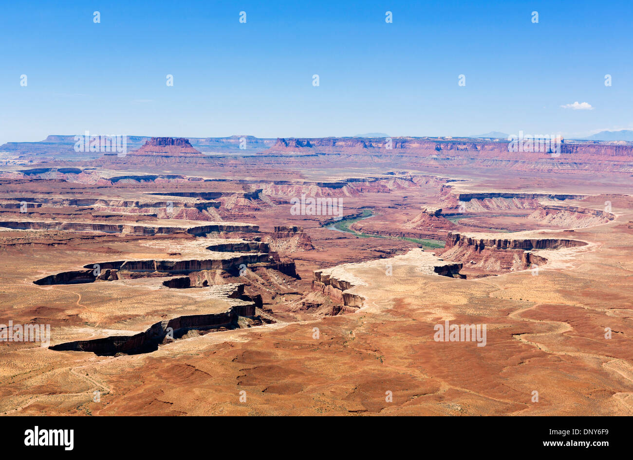 View from the Green River Overlook, Island in the Sky, Canyonlands National Park, Utah, USA Stock Photo