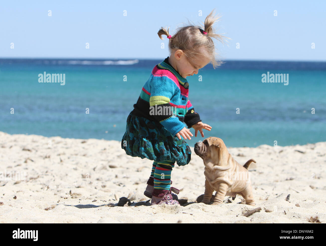 shar pei with children