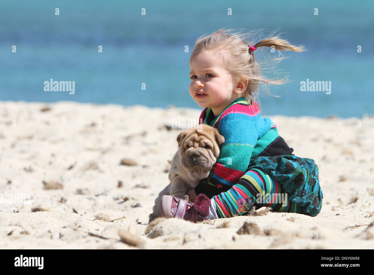shar pei with children