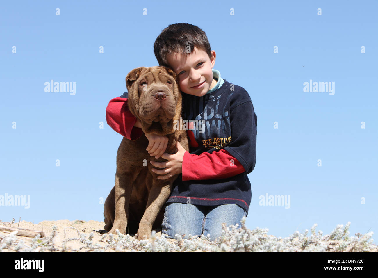 shar pei with children