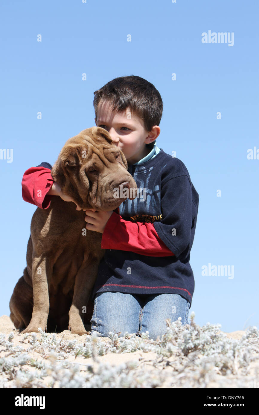 shar pei with children