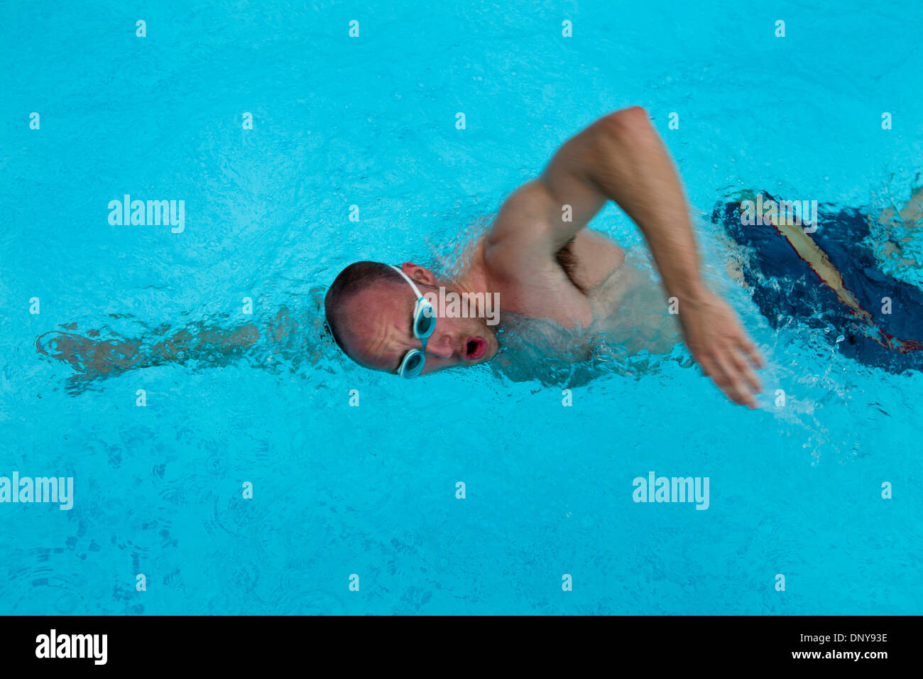 Man swimming crawl Stock Photo