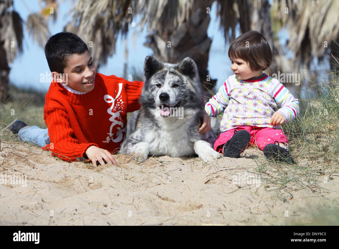 akita and children