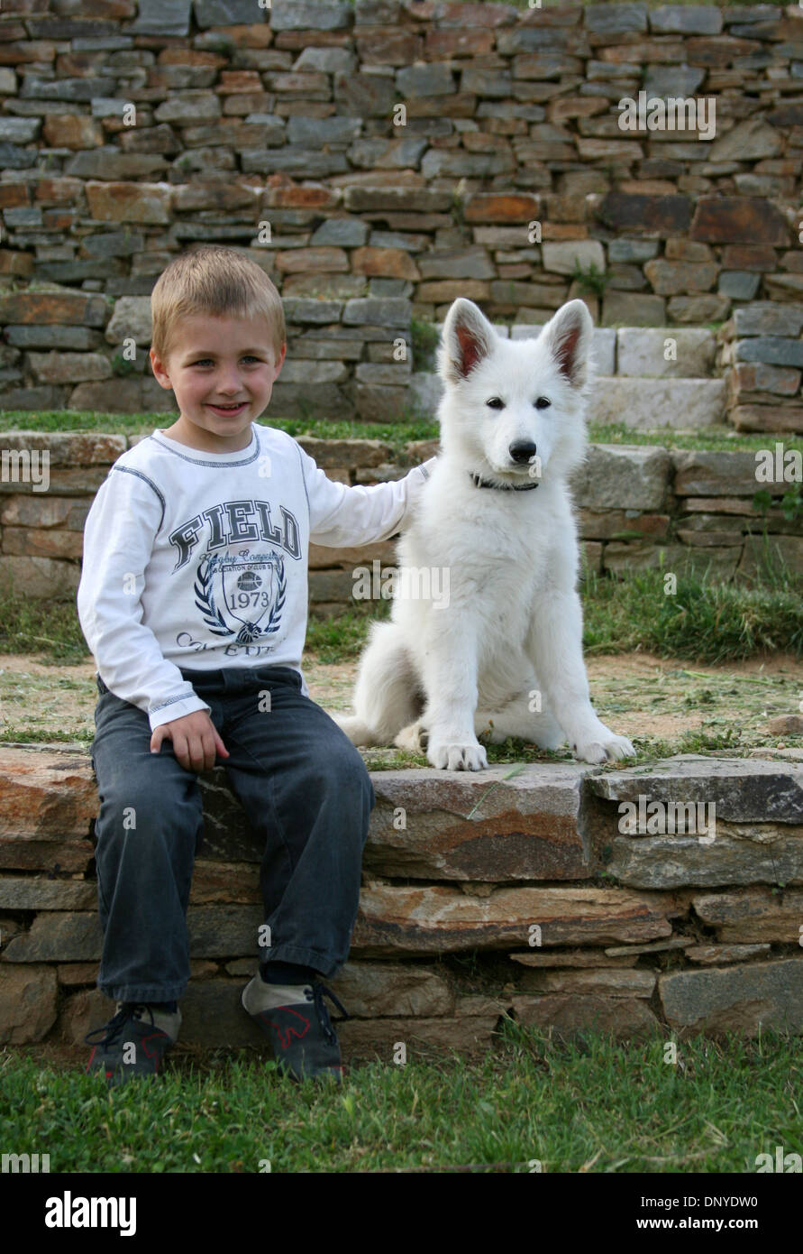 white shepherd baby
