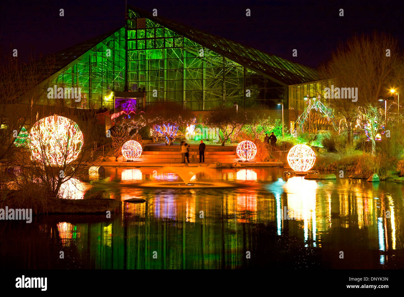 Christmas lights and pond reflections, River of Lights, Rio Grande Botanic Garden, Albuquerque, New Mexico USA Stock Photo