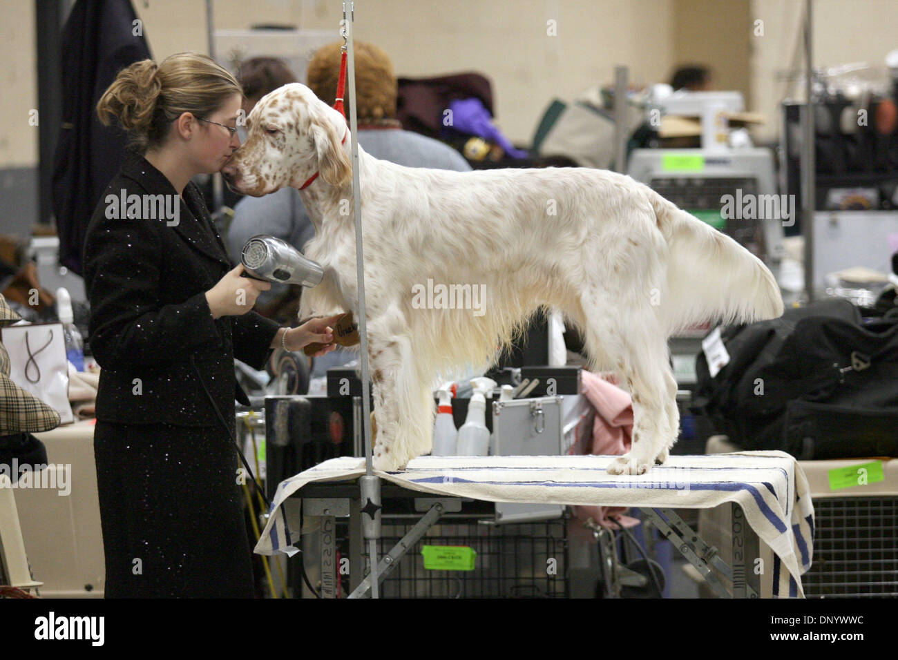 Page 6 - Danny Dog High Resolution Stock Photography and Images - Alamy