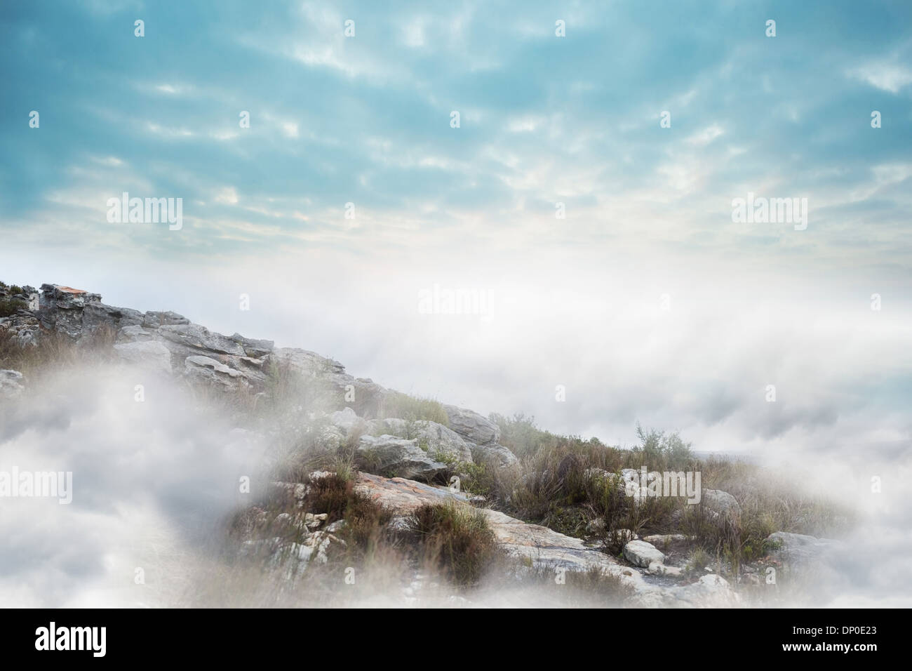 Misty landscape Stock Photo