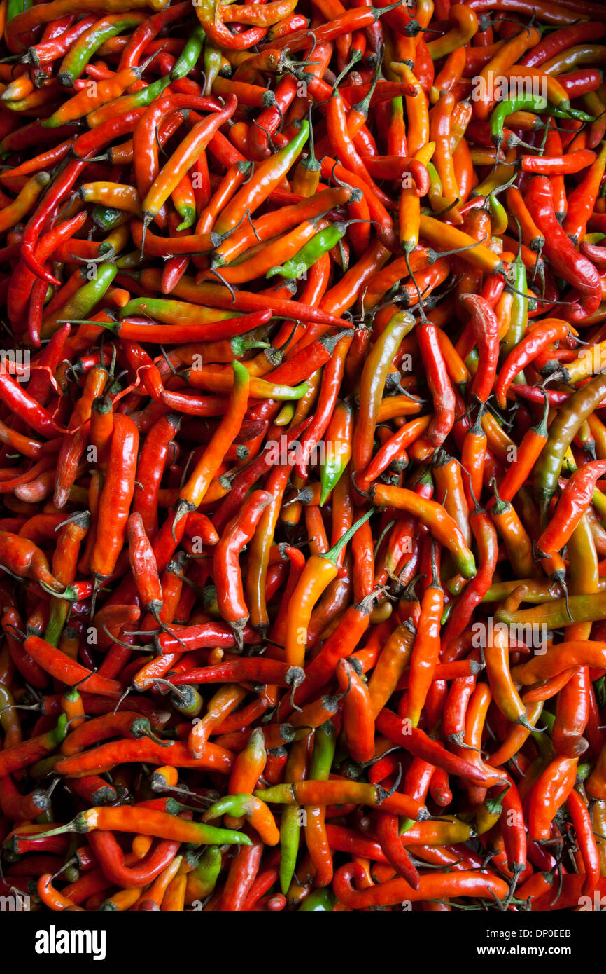 India green chilli hi-res stock photography and images - Alamy