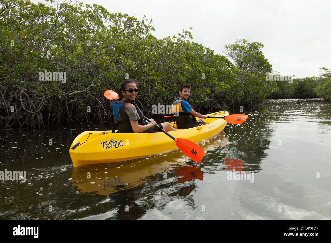 Tteenagers kayaking in Mangrove, John Pennekamp State Park, Florida, USA Stock Photo