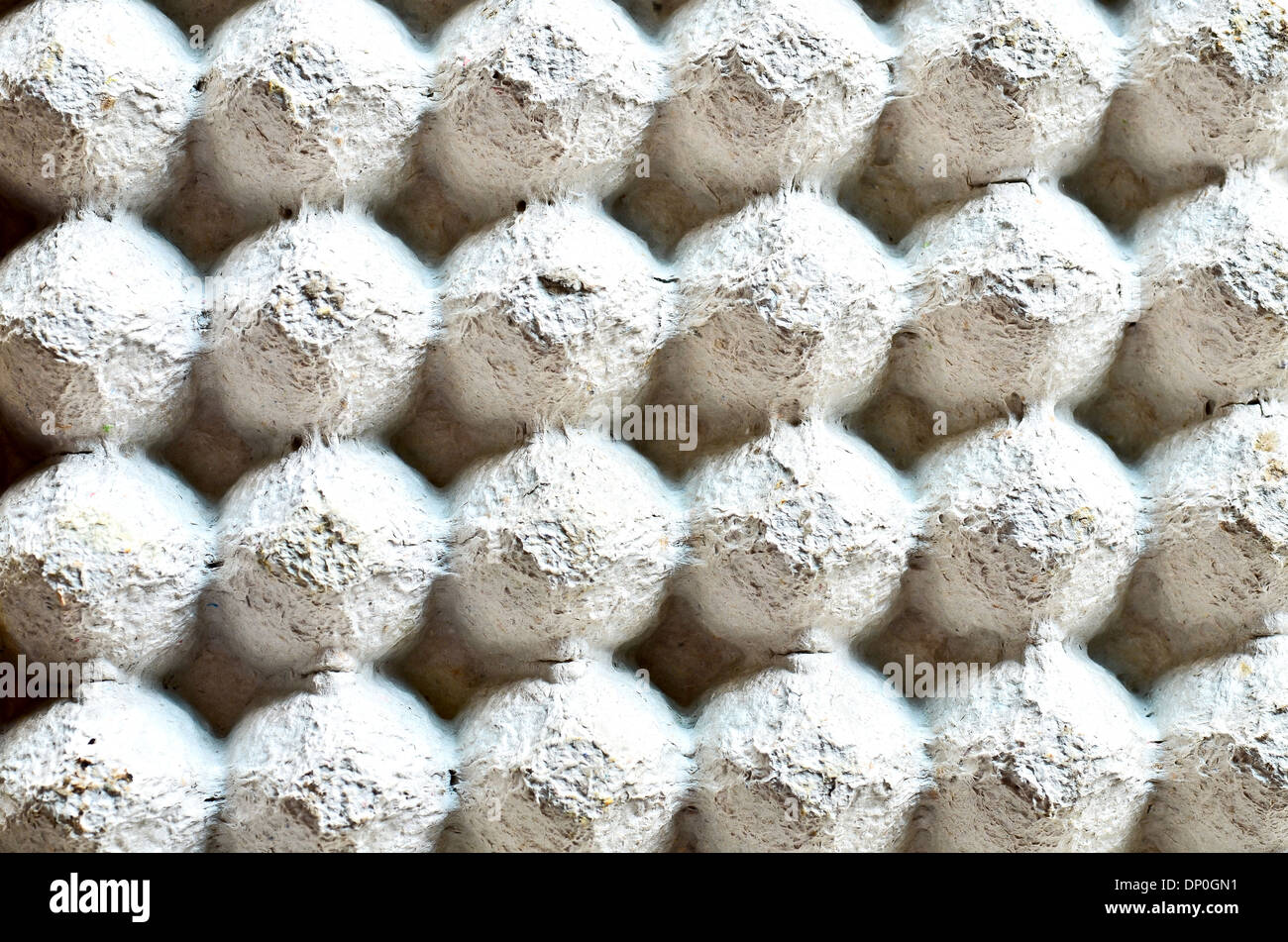Carton Tray for Eggs Stock Photo