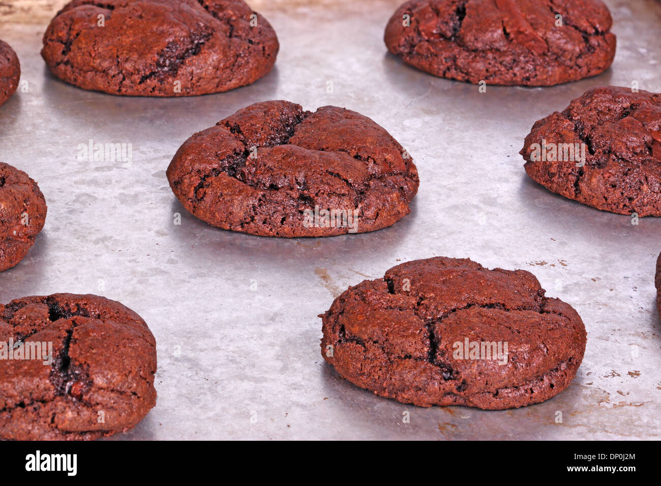 Home-made dark chocolate cookies fresh out of the oven cool down while still on the pan Stock Photo