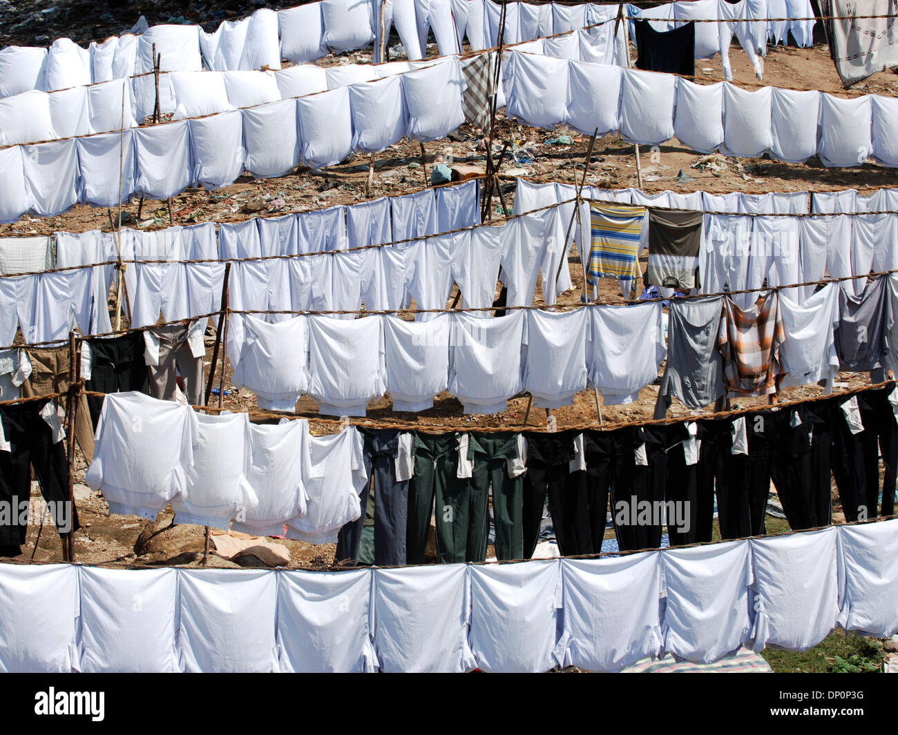 Mar 31, 2006; Chennai, Tamil Nadu, INDIA; Clothes washed in the Adyar (which is the local sewage river) are hung out to dry. For some reason they are the whites shirts in town. Mandatory Credit: Photo by Daniel Wilkinson/Daniel Wilkinson. (©) Copyright 2006 by Daniel Wilkinson Stock Photo