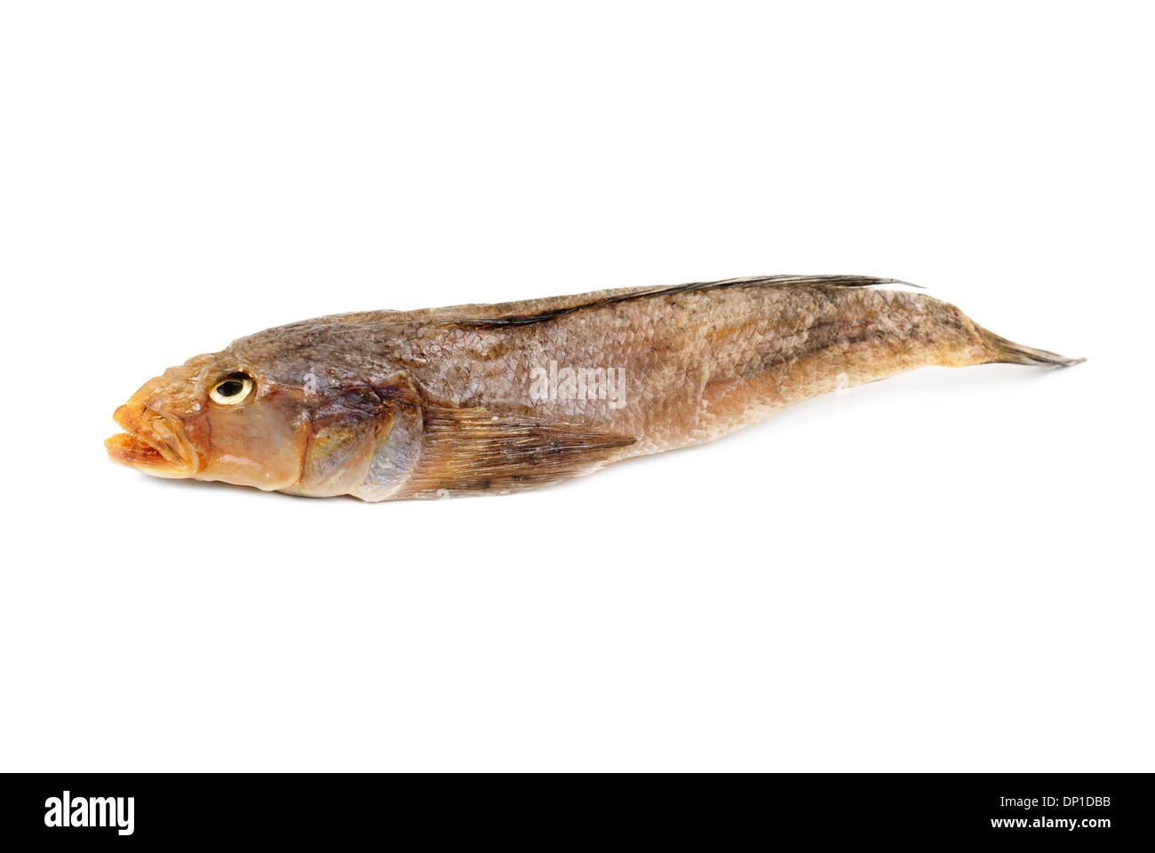 Dried bullhead (goby) isolated on white  Stock Photo