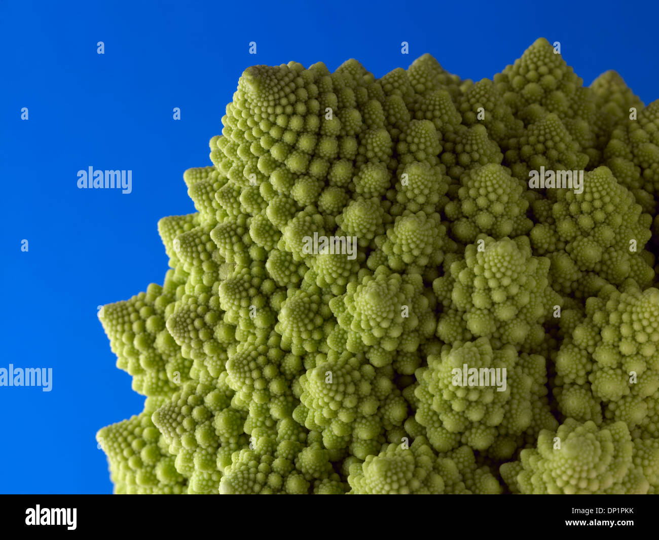 romanesco cauliflower close up Stock Photo