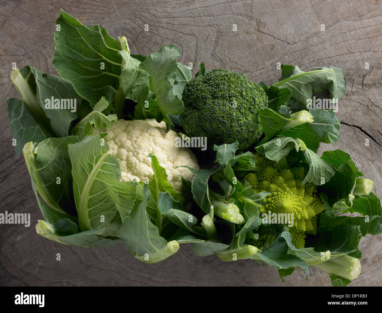 green leaf vegetables cauliflower family Stock Photo