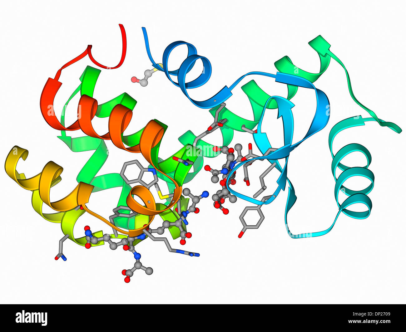 Bacteriophage T4 lysozyme molecule Stock Photo