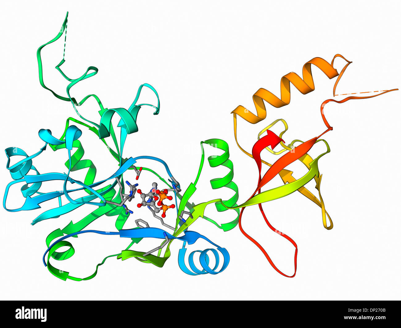 ATP-dependent DNA ligase molecule Stock Photo
