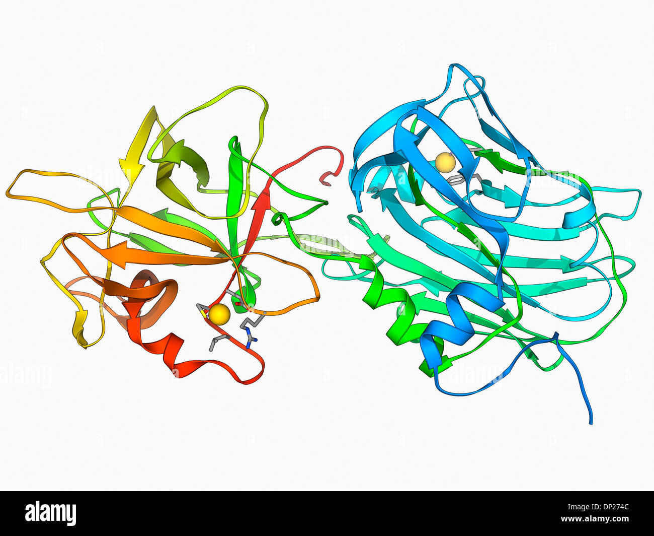 Tetanus toxin C-fragment molecule Stock Photo