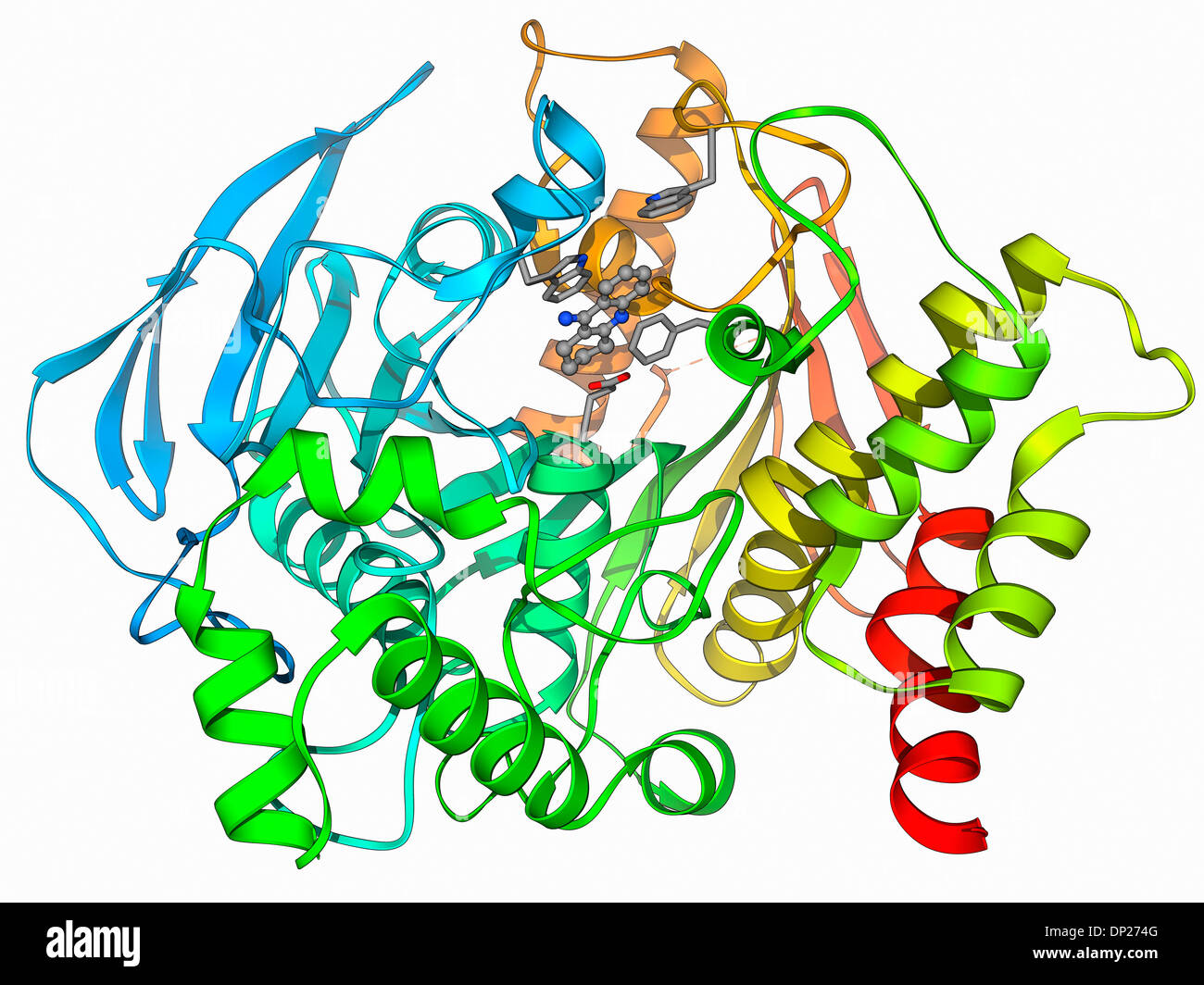 Acetylcholinesterase molecule Stock Photo