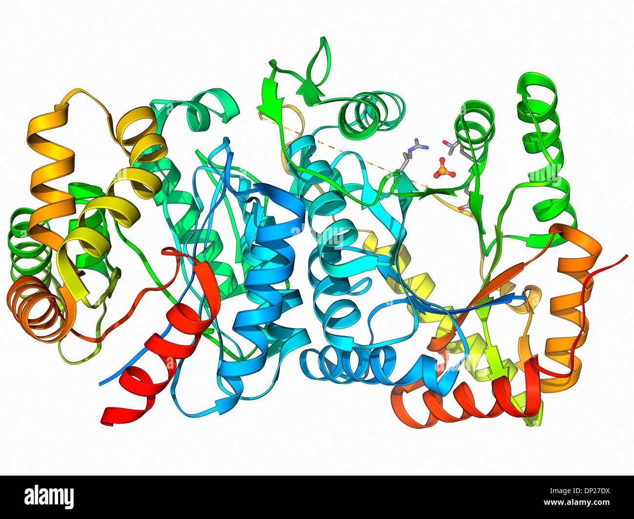 Bacterial enzyme hires stock photography and images Alamy