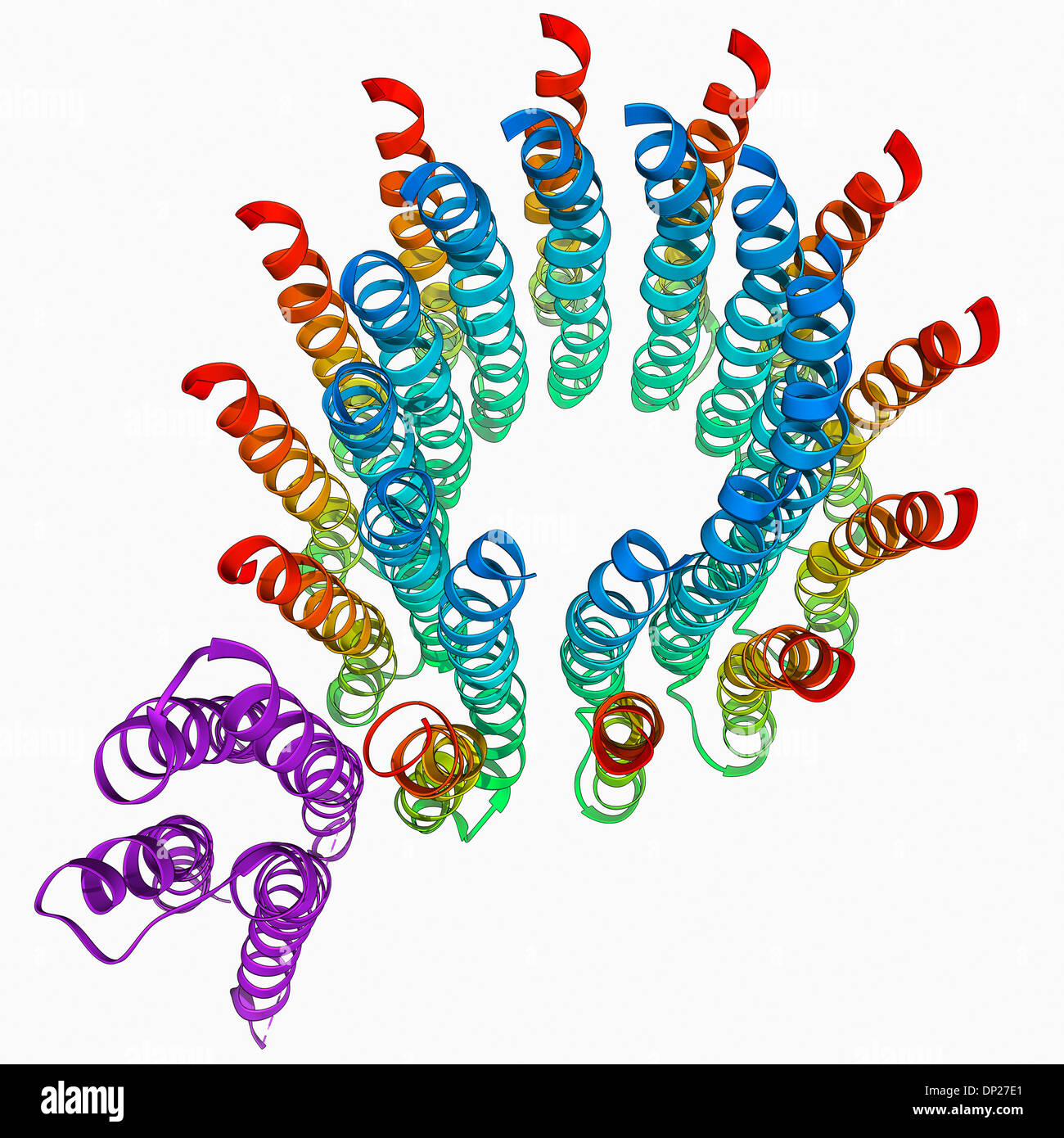ATP synthase molecule Stock Photo