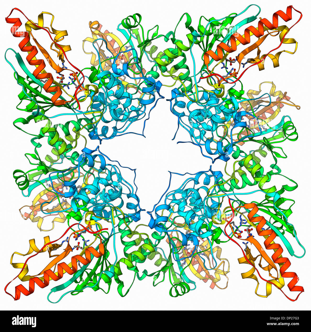 Creatine kinase hi-res stock photography and images - Alamy