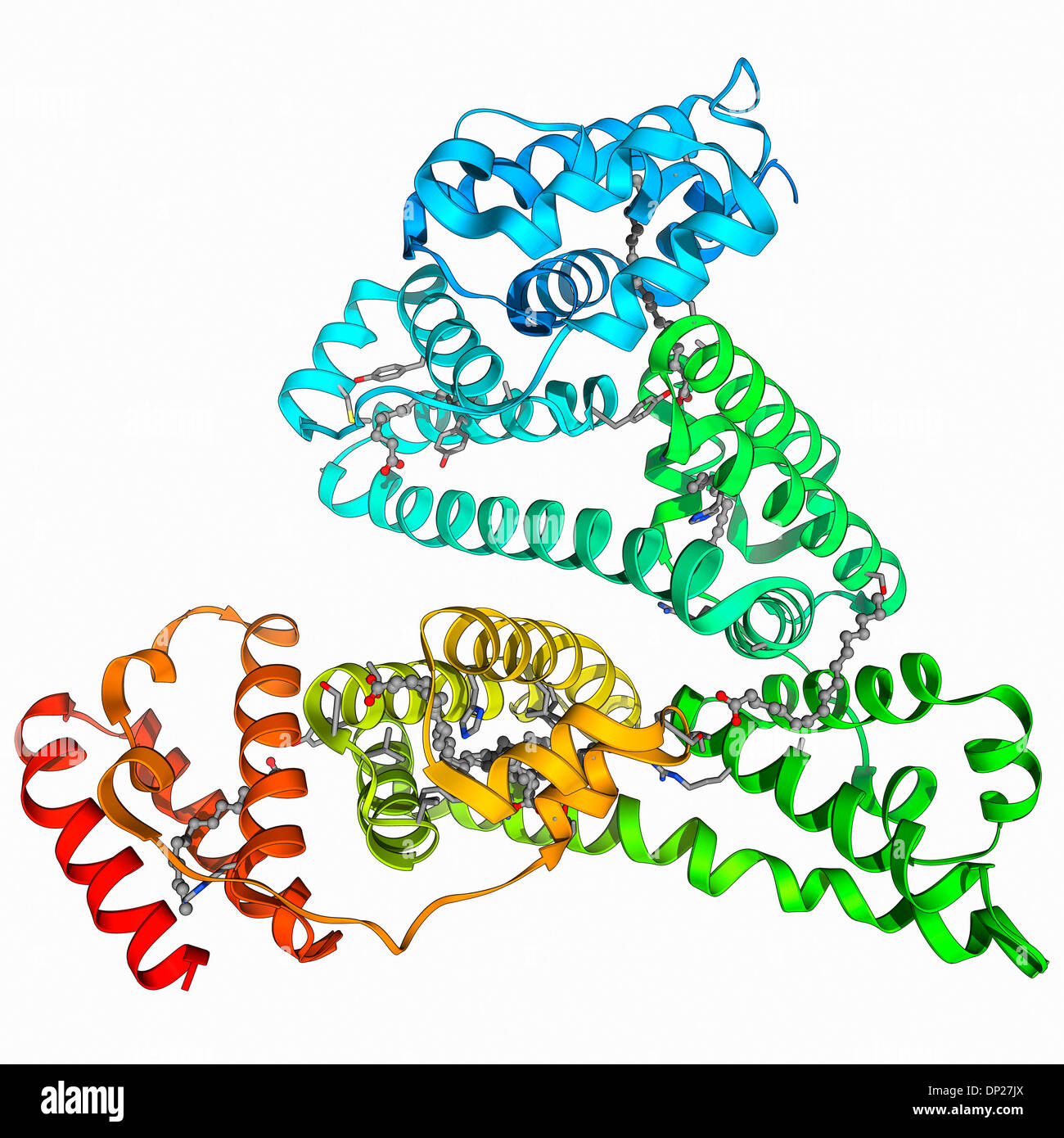 Human serum albumin molecule Stock Photo
